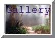 gallery-button.jpg - 2422 Bytes