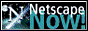 netscape_button.gif - 2925 Bytes