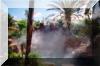 medium preasure misting system