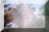 landscape misting system