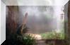 misting system path