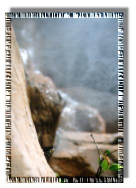Misting Sytem water